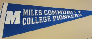 Image of MCC Pennant  9x24"